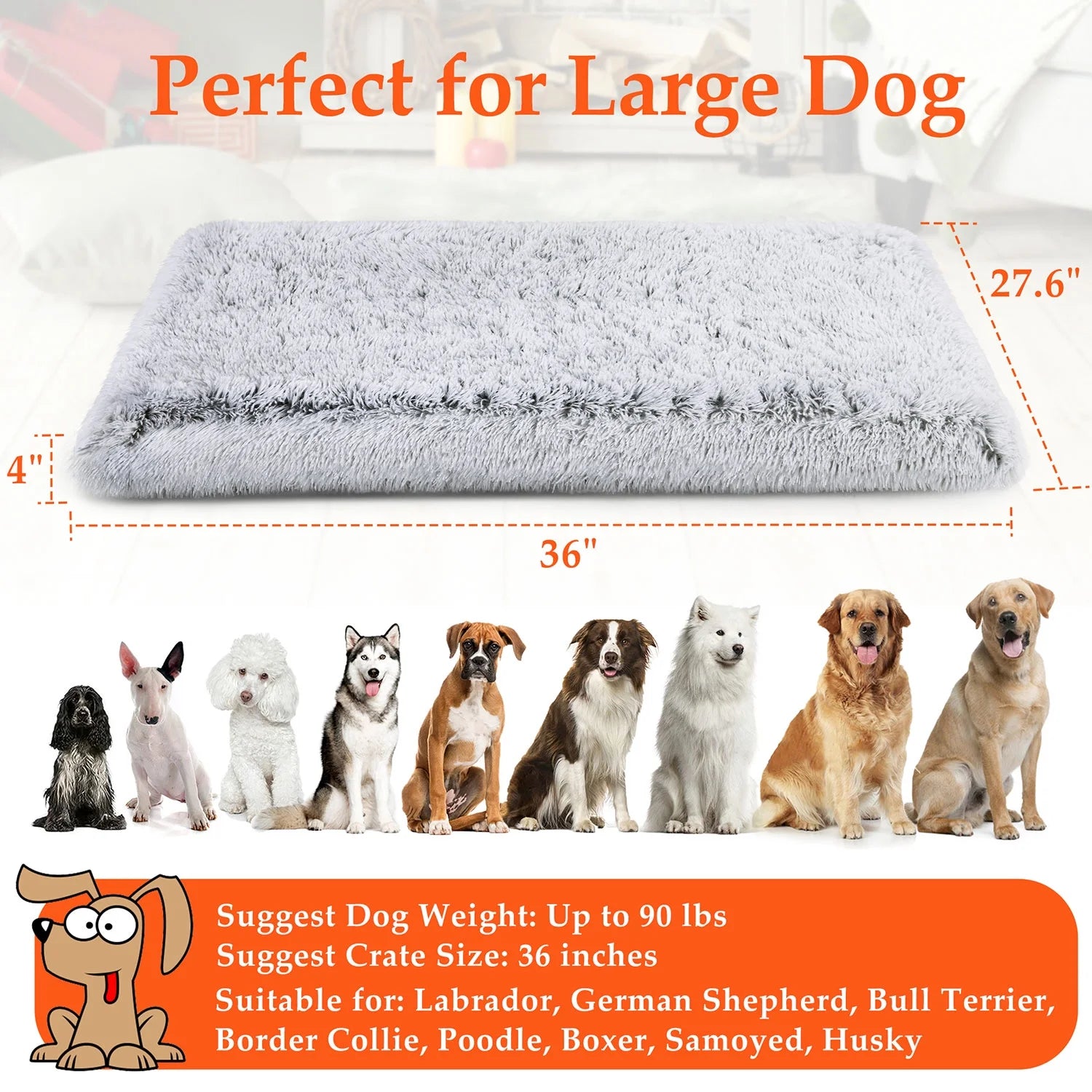 Cozy Orthopedic Dog Bed for Large and Medium Dogs - Washable Memory Foam Egg Crate Design, 36"x28", Plush and Calming, Gray